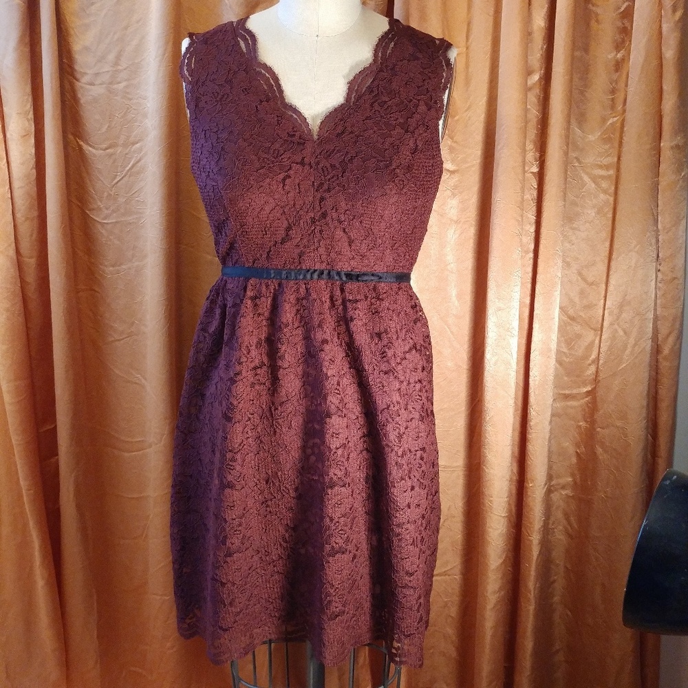 LOFT Scalloped Sleeveless Lace Dress, Wine, 0P